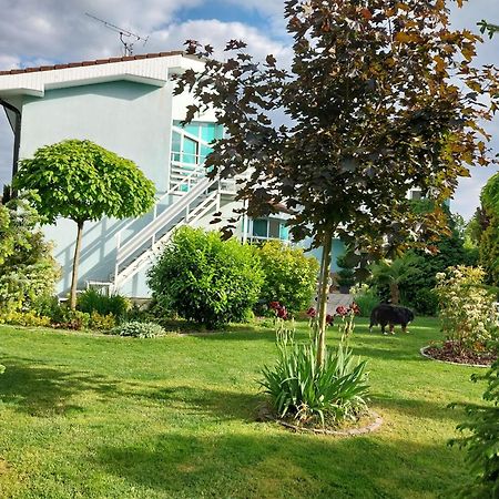 Cozy Rooms In Wine Town - Modra Exteriör bild