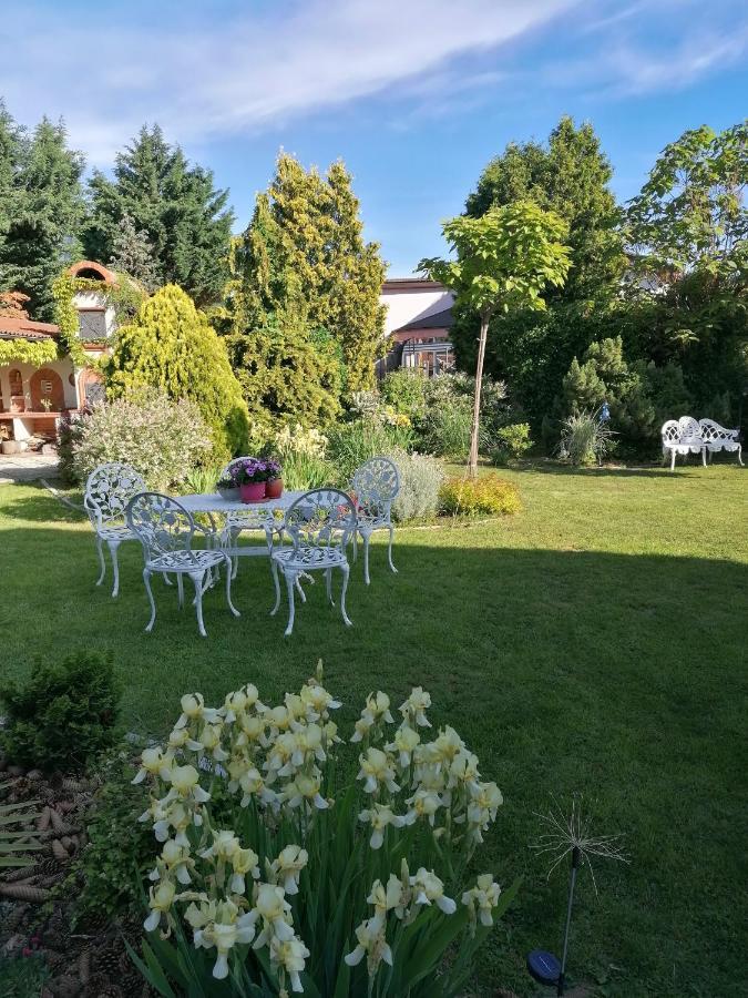 Cozy Rooms In Wine Town - Modra Exteriör bild